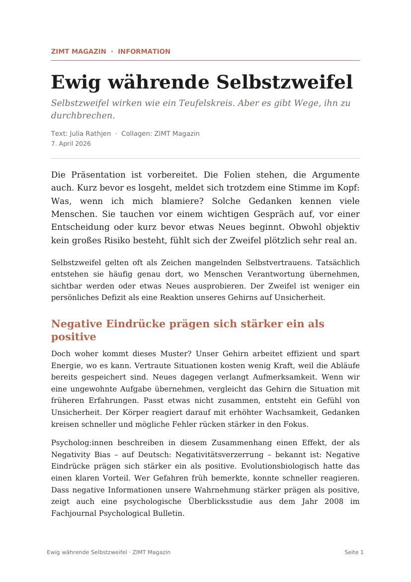 Ewig währende Selbstzweifel – ZIMT Magazin